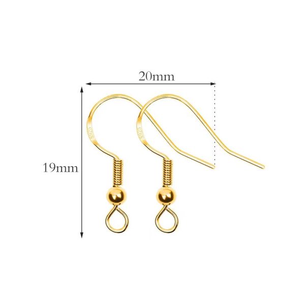 Earring Hook Kit